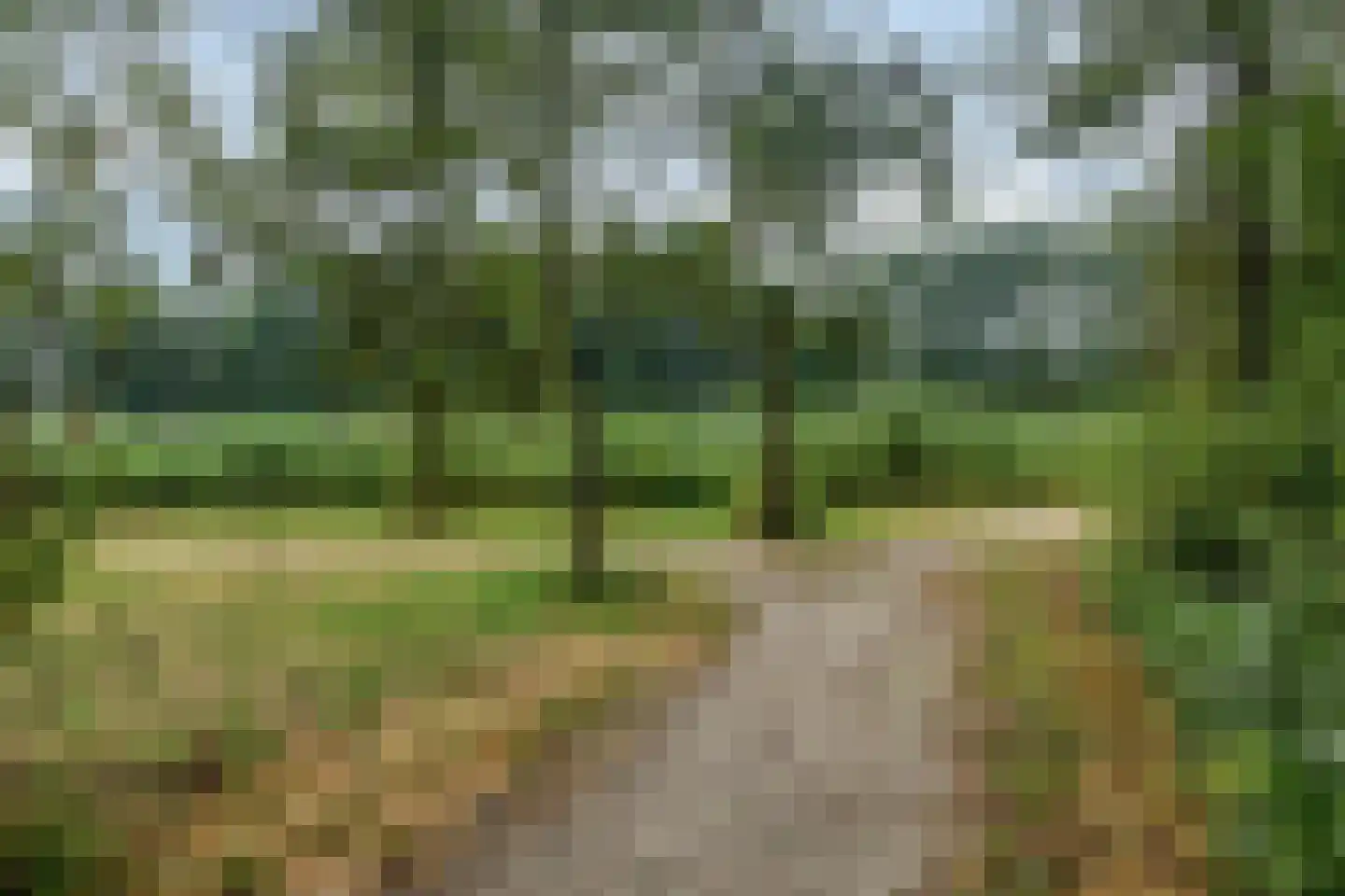 Heijtsveld 227 Gemert thumbnail 36