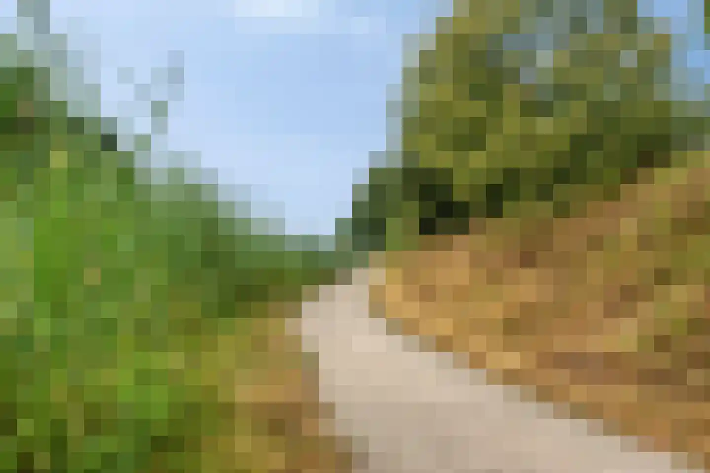 Heijtsveld 227 Gemert thumbnail 37