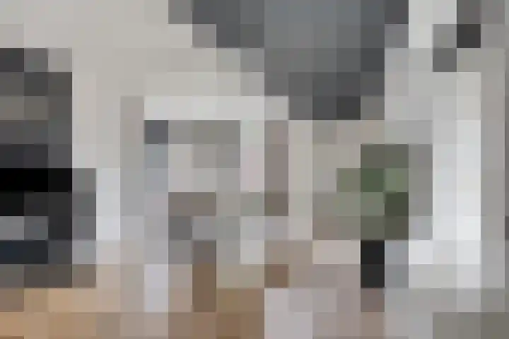 Heijtsveld 50 Gemert thumbnail 10