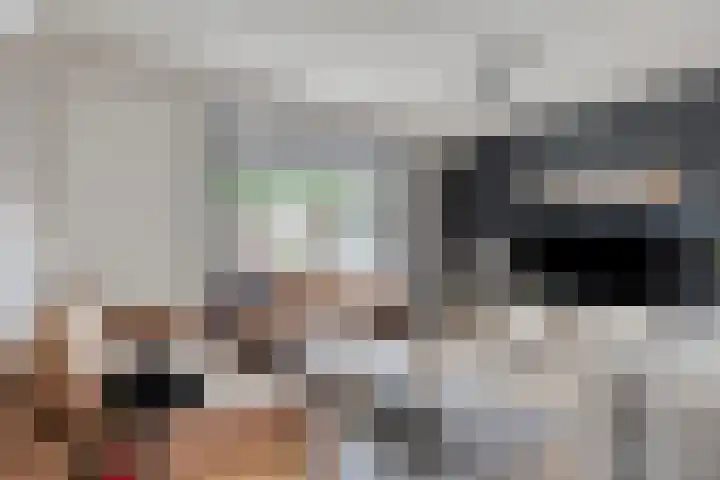 Heijtsveld 50 Gemert thumbnail 11
