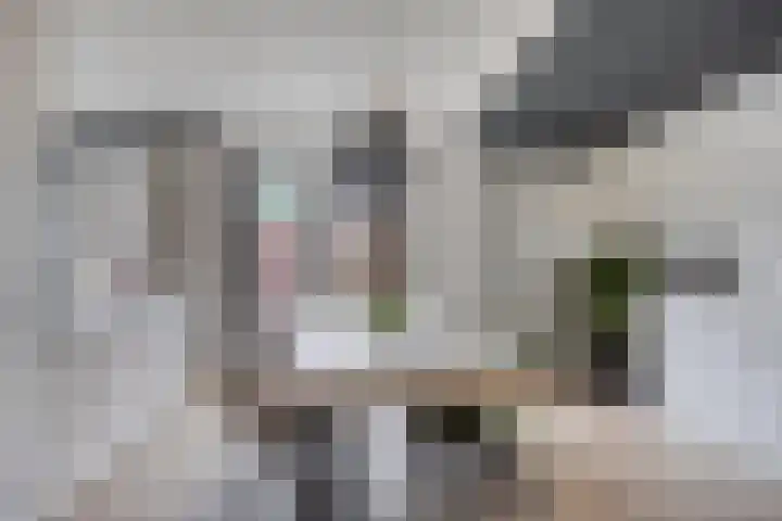 Heijtsveld 50 Gemert thumbnail 14