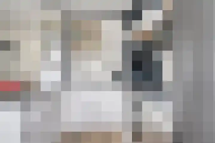Heijtsveld 50 Gemert thumbnail 17