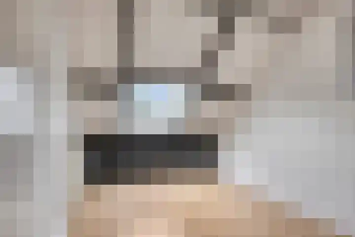 Heijtsveld 50 Gemert thumbnail 29