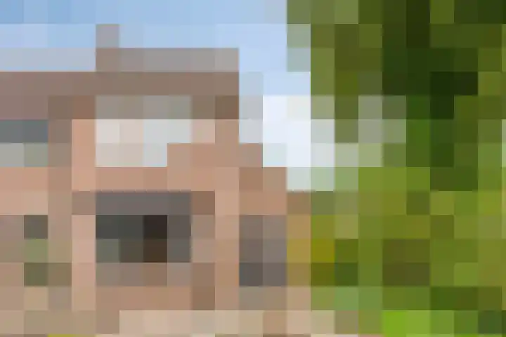 Heijtsveld 50 Gemert thumbnail 45