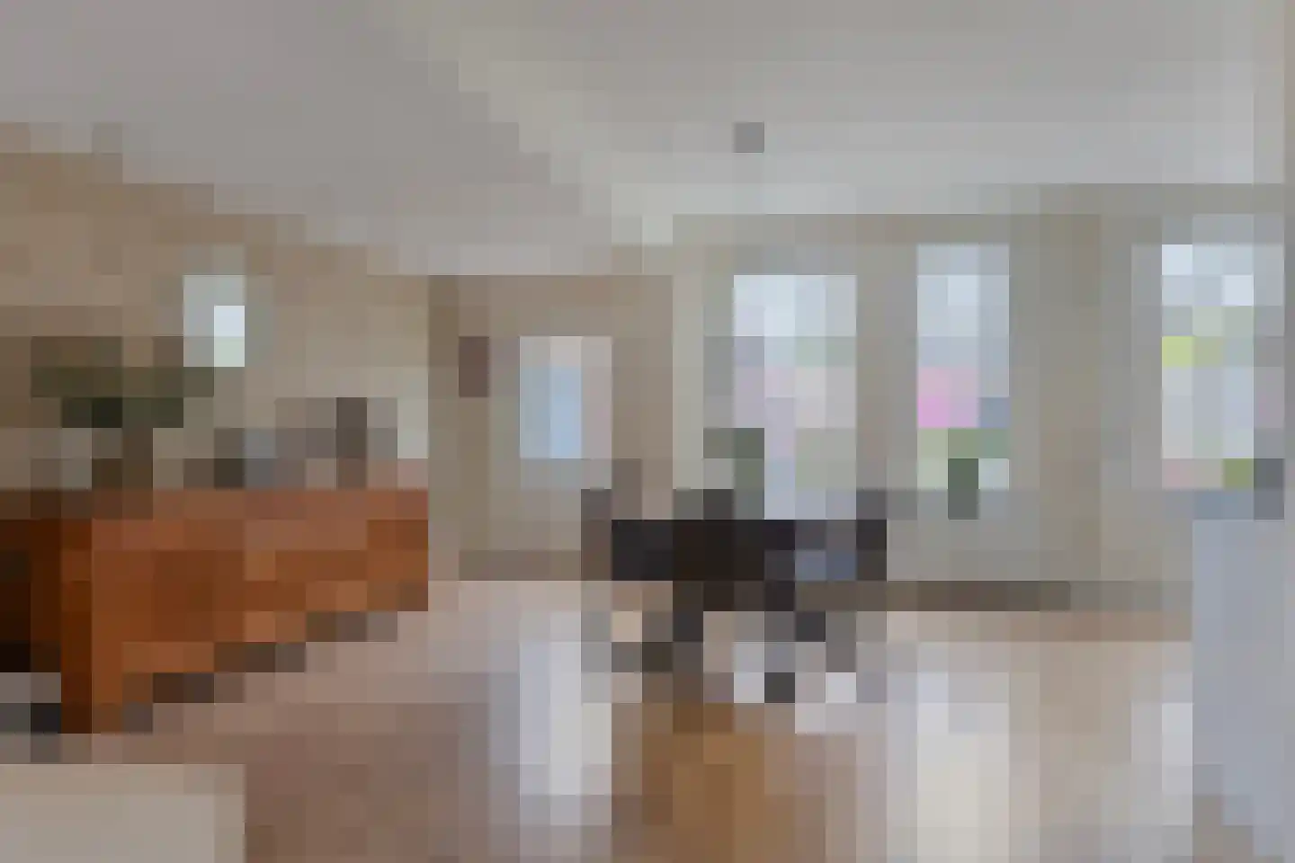Heijtsveld 62 Gemert thumbnail 13