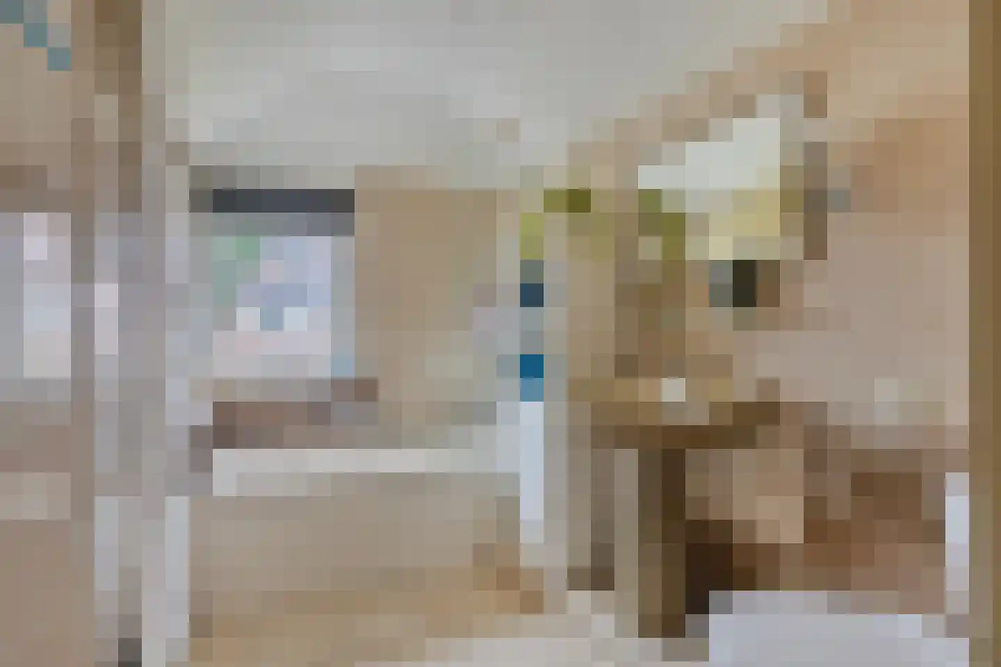 Heijtsveld 62 Gemert thumbnail 19