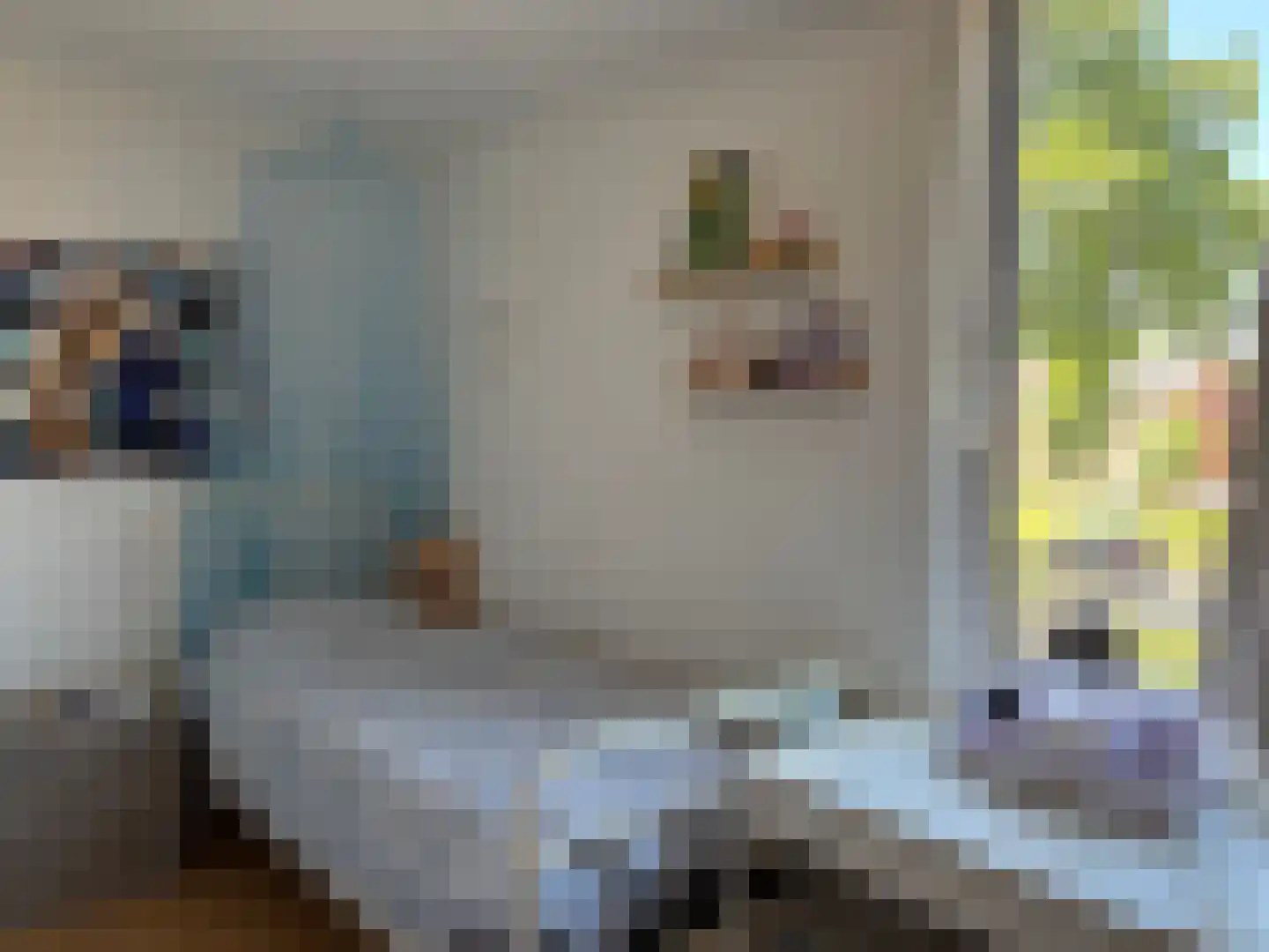 Heijtsveld 62 Gemert thumbnail 21