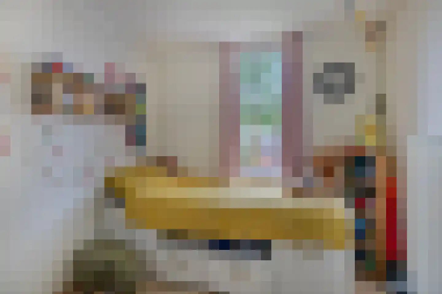 Heijtsveld 62 Gemert thumbnail 24