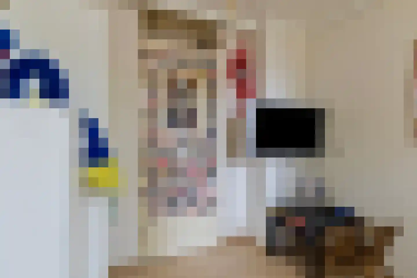 Heijtsveld 62 Gemert thumbnail 25