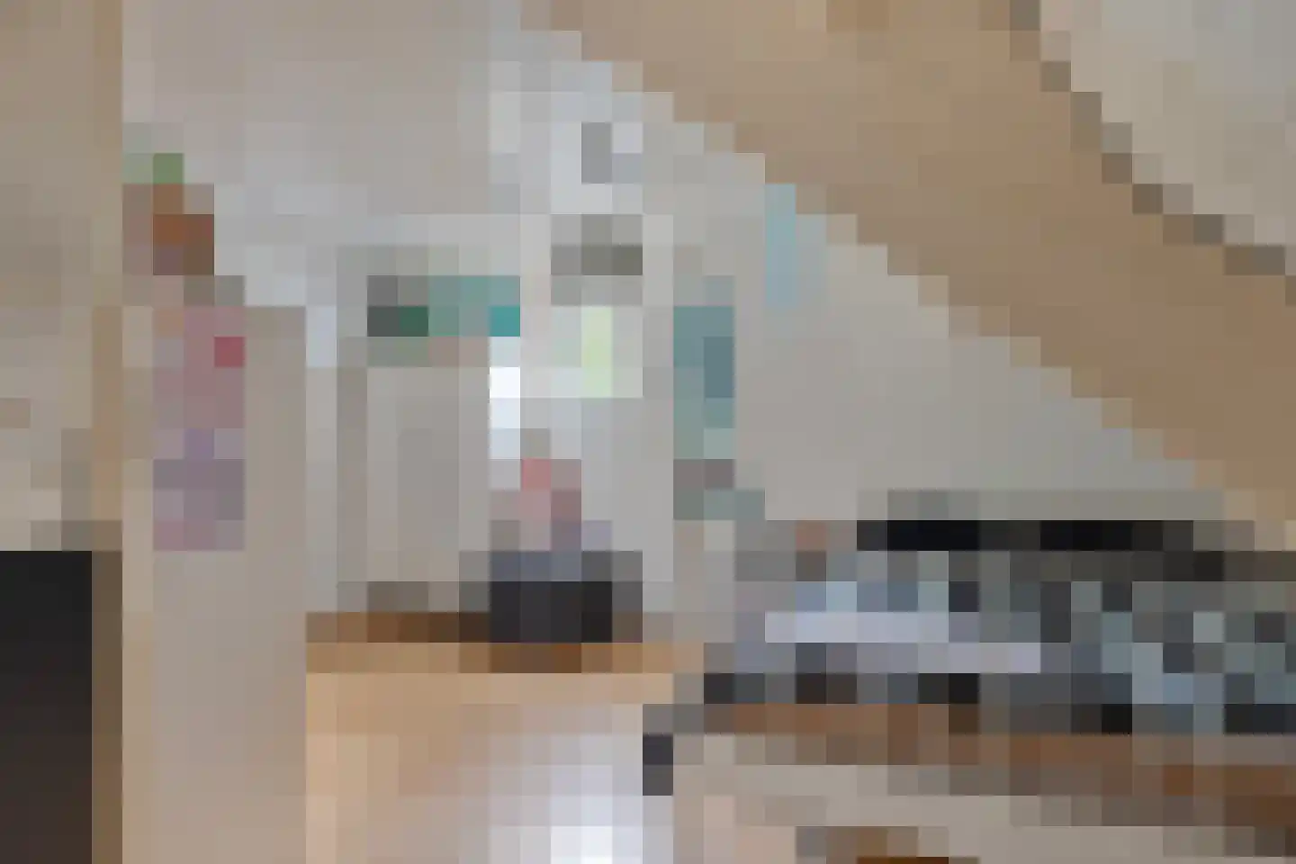 Heijtsveld 62 Gemert thumbnail 27