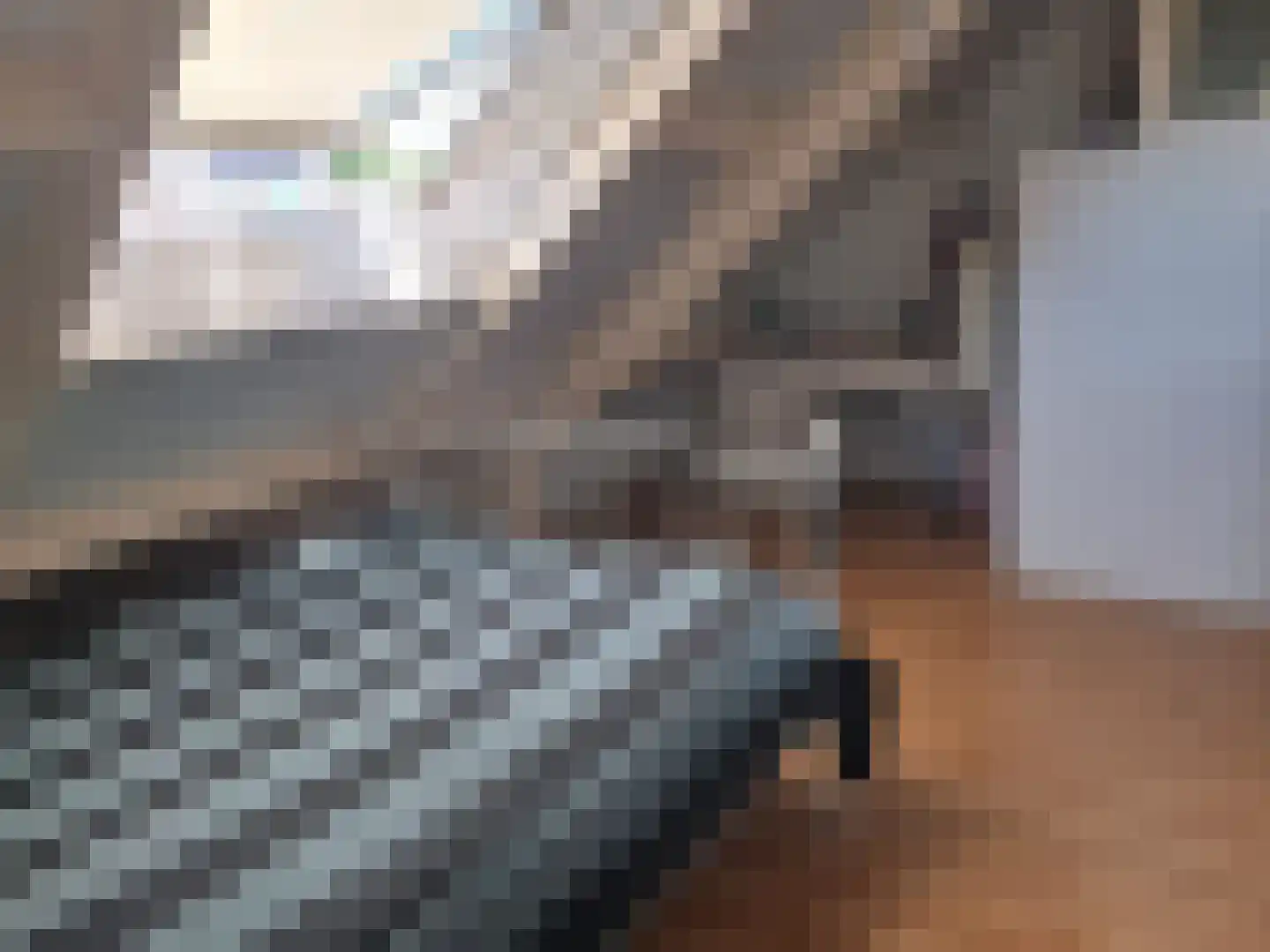 Heijtsveld 62 Gemert thumbnail 28