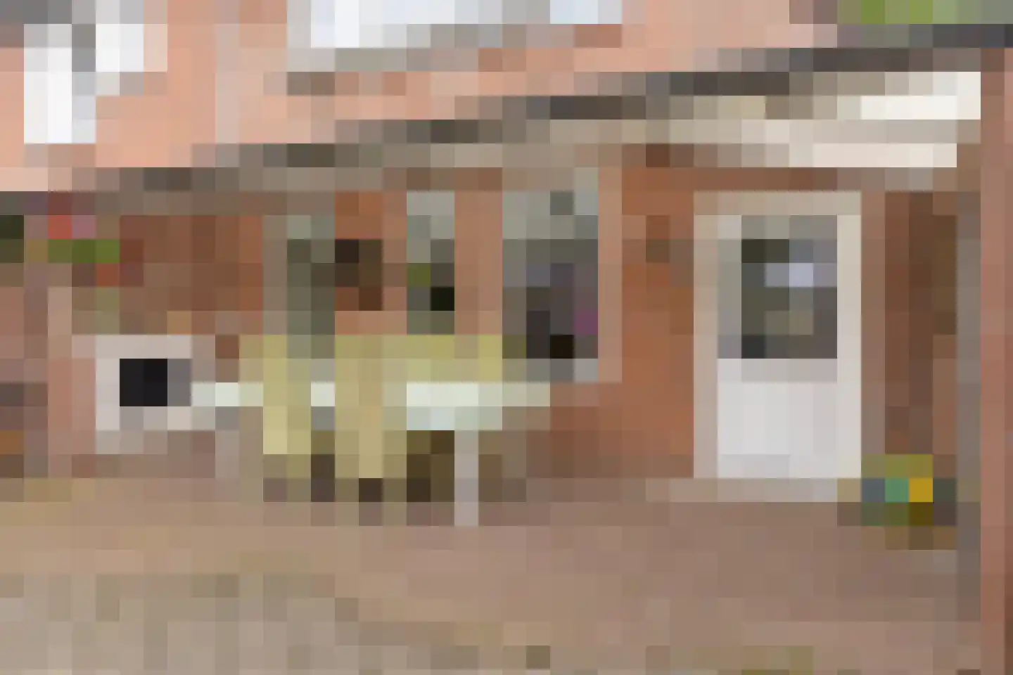 Heijtsveld 62 Gemert thumbnail 33