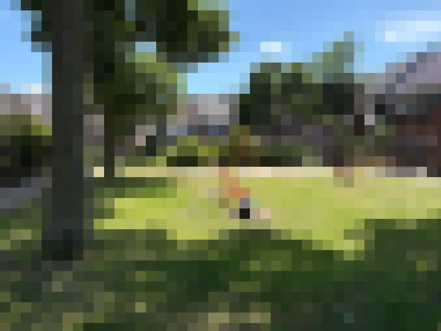Heijtsveld 62 Gemert thumbnail 39