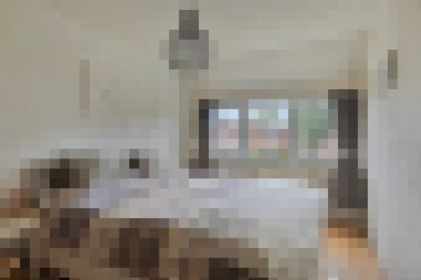 Heijtsveld 62 Gemert thumbnail 5