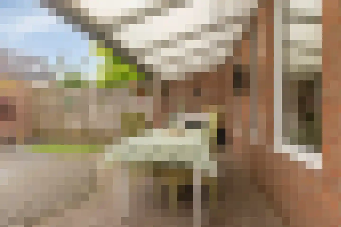 Heijtsveld 62 Gemert thumbnail 6