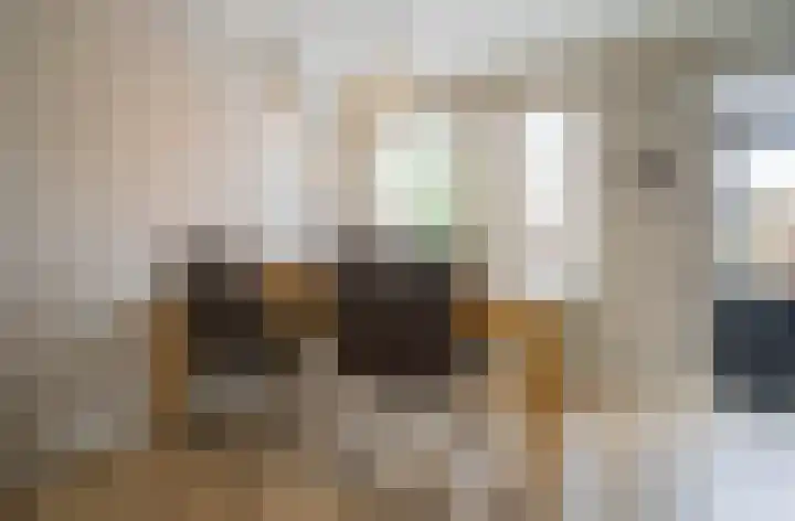 Heijtsveld 66 Gemert thumbnail 10