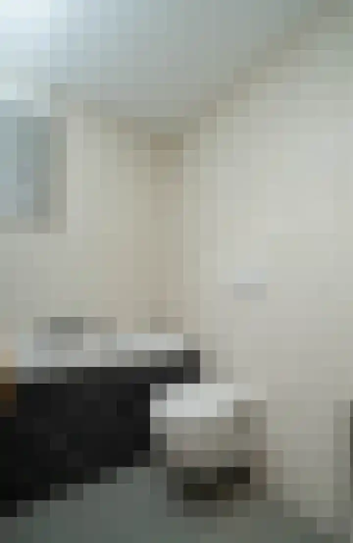 Heijtsveld 66 Gemert thumbnail 24