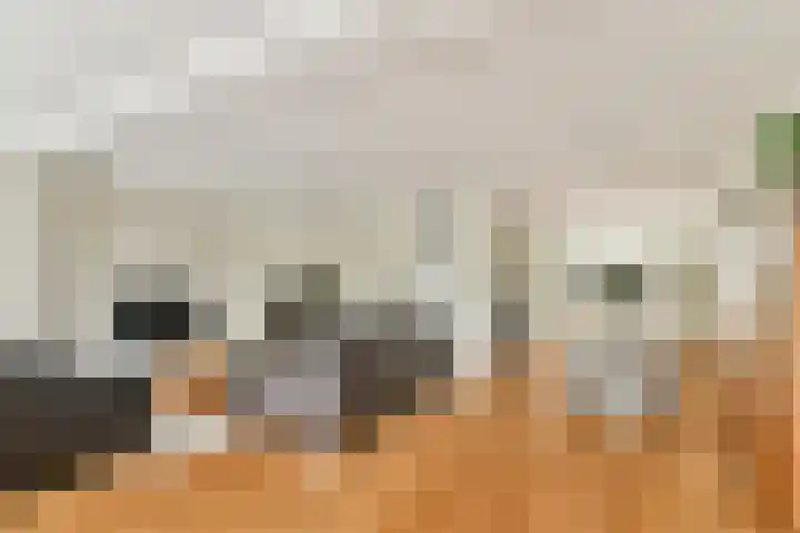 Heijtsveld 66 Gemert thumbnail 31