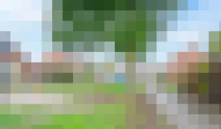 Heijtsveld 66 Gemert thumbnail 31