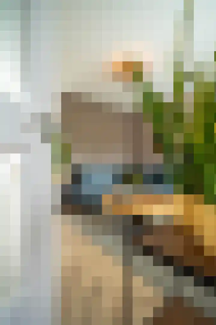 Heijtsveld 66 Gemert thumbnail 4