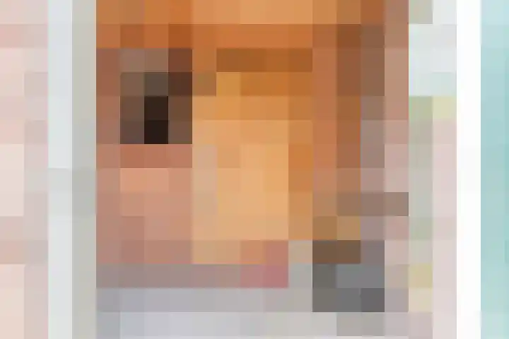 Heijtsveld 66 Gemert thumbnail 7