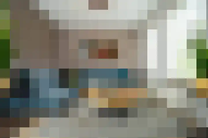 Heijtsveld 66 Gemert thumbnail 8