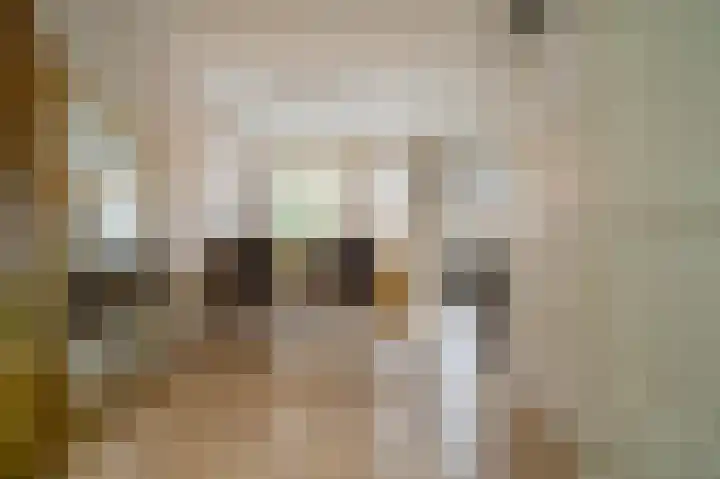 Heijtsveld 66 Gemert thumbnail 9