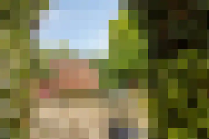 Heikamp 51 Swalmen thumbnail 36
