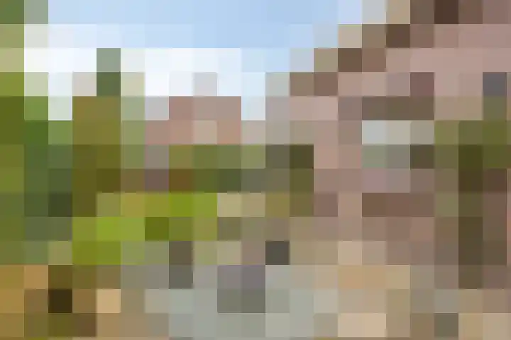 Heikamp 51 Swalmen thumbnail 37