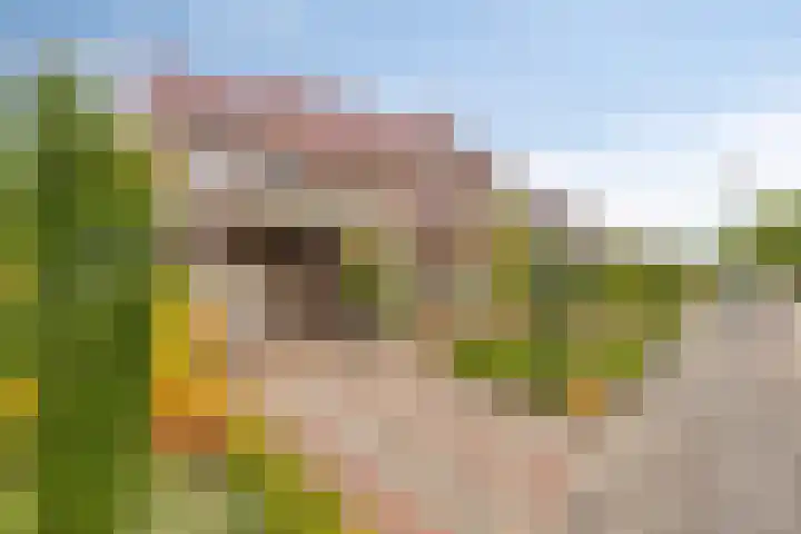 Heikamp 51 Swalmen thumbnail 5