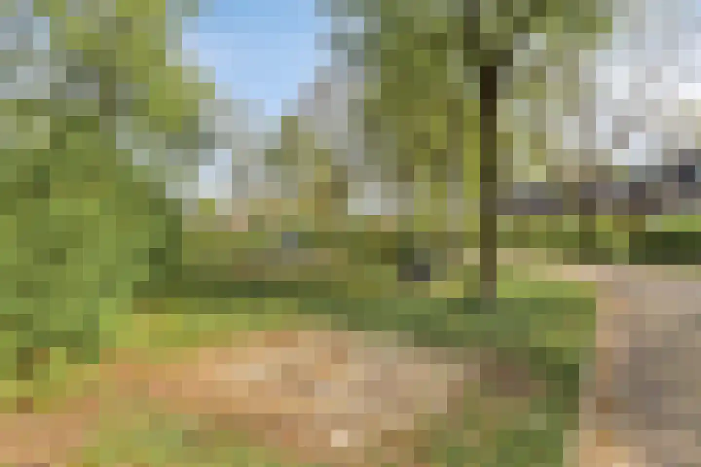 Heikampen 102 Nuenen thumbnail 32