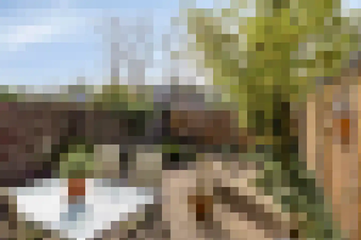 Heikampen 102 Nuenen thumbnail 4