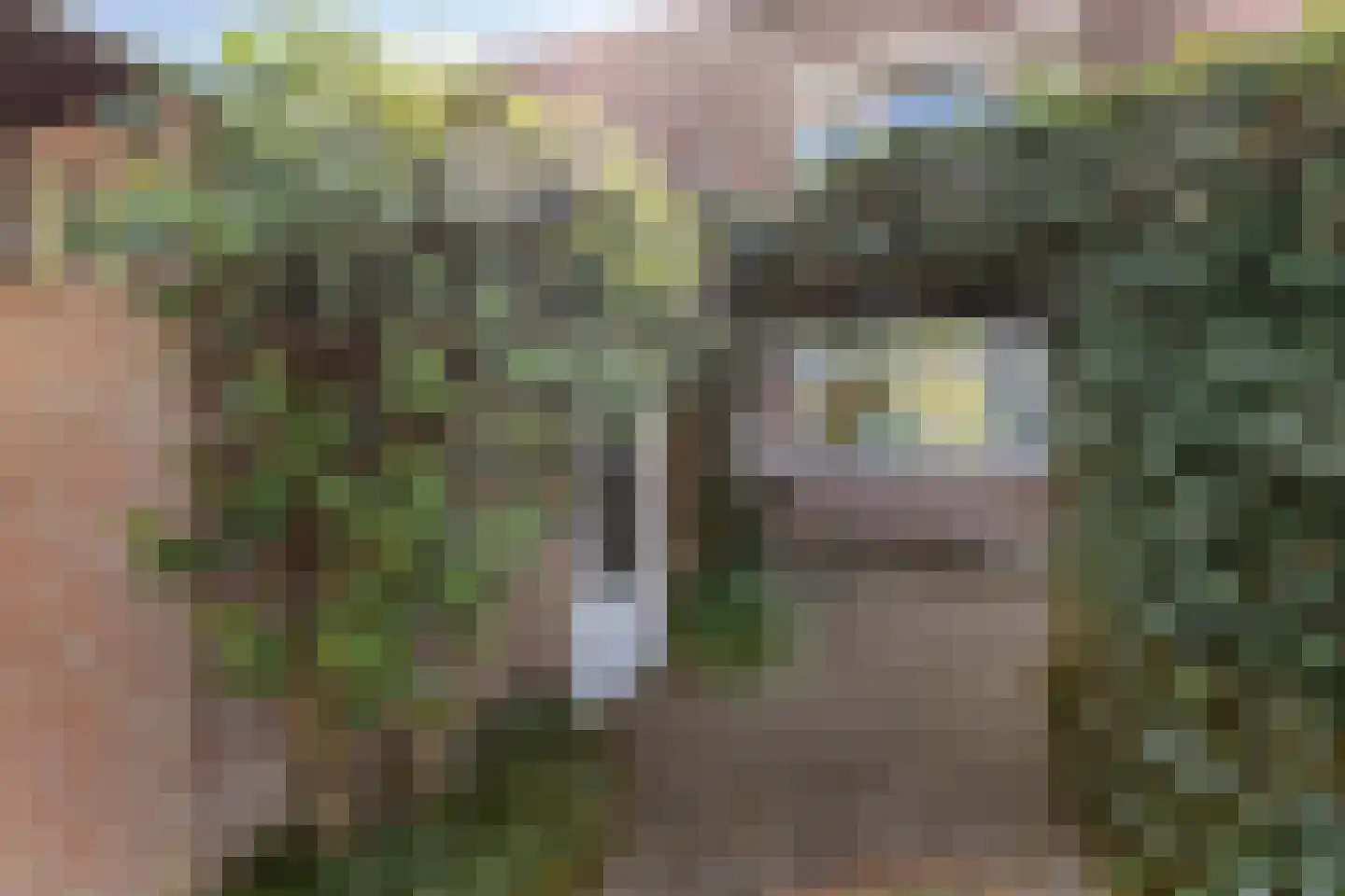 Heikampen 102 Nuenen thumbnail 8
