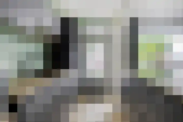 Heikampen 151 Nuenen thumbnail 10