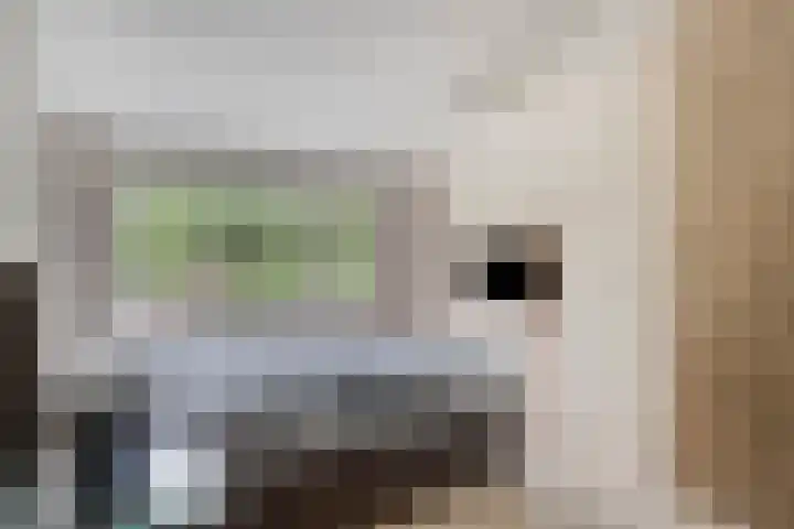 Heikampen 151 Nuenen thumbnail 14