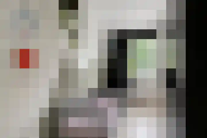 Heikampen 151 Nuenen thumbnail 16
