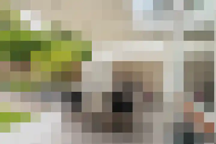 Heikampen 151 Nuenen thumbnail 23