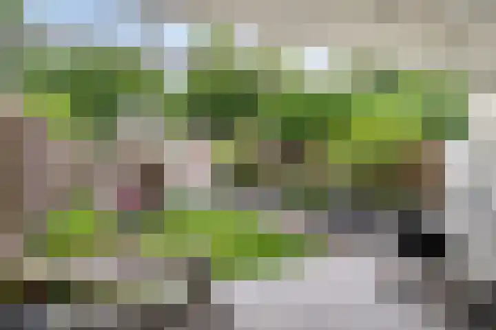 Heikampen 151 Nuenen thumbnail 24
