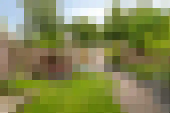 Heikampen 151 Nuenen thumbnail 25