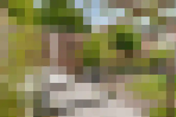 Heikampen 151 Nuenen thumbnail 26