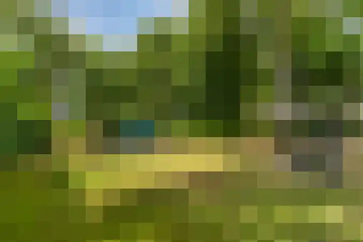 Heikampen 151 Nuenen thumbnail 29