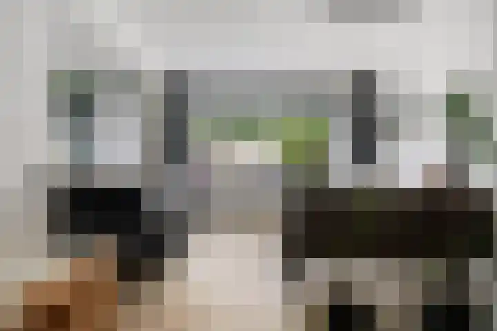 Heikampen 151 Nuenen thumbnail 7