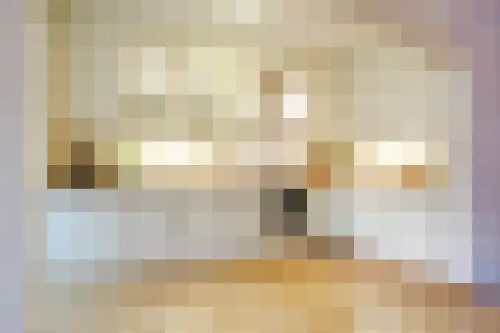Heikampen 18 Nuenen thumbnail 17