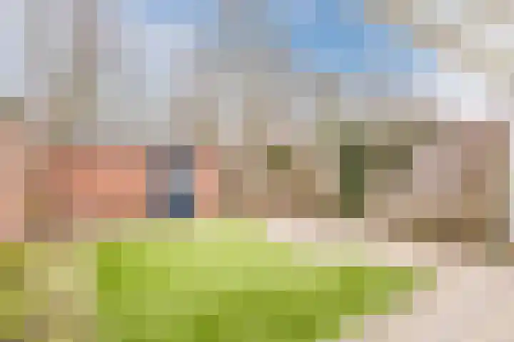 Heikampen 18 Nuenen thumbnail 21