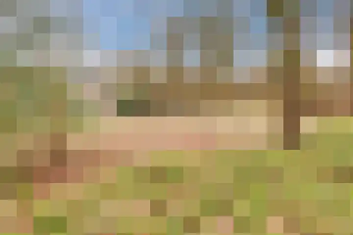 Heikampen 18 Nuenen thumbnail 4