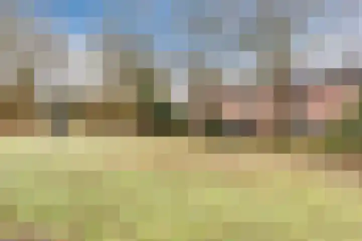 Heikampen 18 Nuenen thumbnail 5