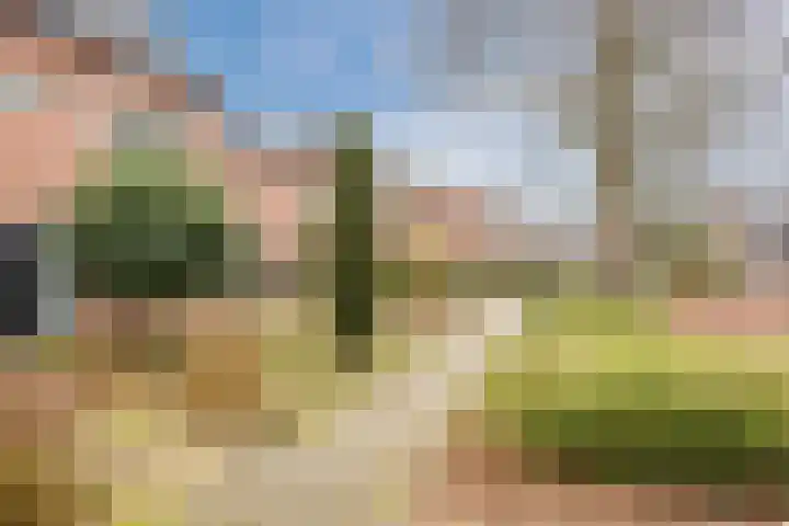 Heikampen 18 Nuenen thumbnail 6
