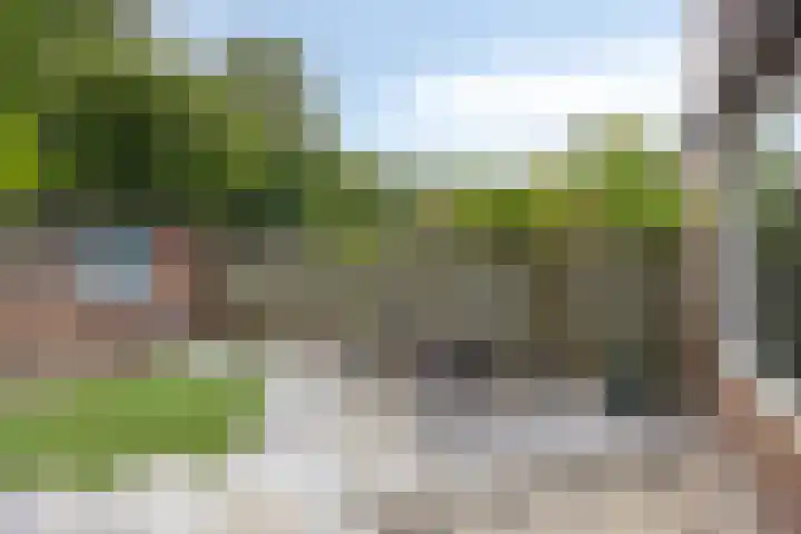 Heikampen 48 Nuenen thumbnail 21