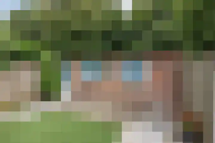 Heikampen 48 Nuenen thumbnail 22