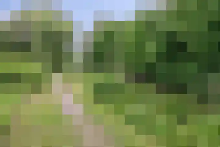 Heikampen 48 Nuenen thumbnail 25